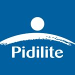 Pidilite FY25 Review