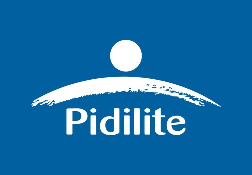 Pidilite FY25 Review
